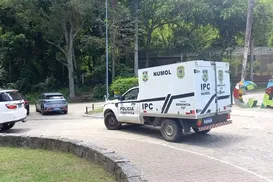 Homem invade jaula de leoa em zoológico e é devorado vivo no Brasil - Imagem