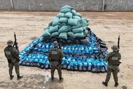 Mais de quatro toneladas de maconha são apreendidas na Bahia - Imagem