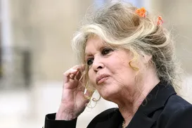 Brigitte Bardot morreu de câncer, revela viúvo - Imagem