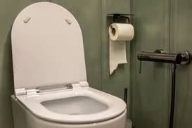 Por que jogar papel higiênico no vaso destrói seu encanamento - Imagem