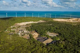 "Recuperar área degradada não é favor", diz advogada ambiental - Imagem