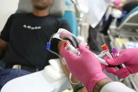Sangue ultrarraro: entenda mutação incomum com somente três incidências - Imagem