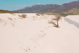 Secretário é investigado por roubo de areia em obra de R$ 200 milhões - Imagem