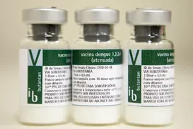 Vitória! Brasil aprova 1ª vacina de dose única contra a dengue - Imagem