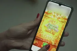 Valor arrecadado com bets pode bancar Universidade do Esporte - Imagem