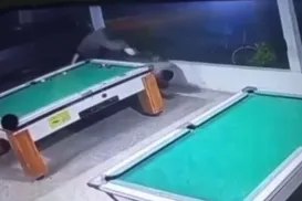 Vídeo: Assessor é morto a tiros em bar enquanto jogava sinuca - Imagem