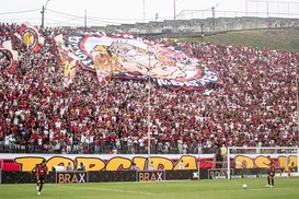 Barradão cheio! Vitória confirma parcial para jogo contra o Flamengo - Imagem
