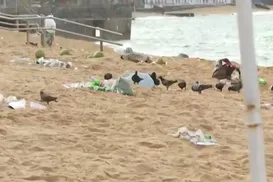 Verão aumenta geração de lixo e impacta turismo na Bahia - Imagem