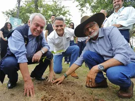 Bahia ganha novo curso superior e reforça metas de sustentabilidade ao lado da ABAF - Imagem