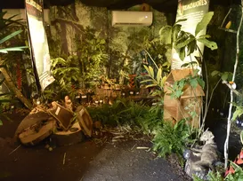 Visitantes entram em “floresta em chamas” e vivem alerta ambiental na Fenagro - Imagem