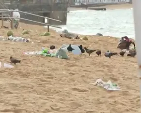 Verão aumenta geração de lixo e impacta turismo na Bahia - Imagem