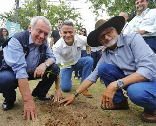 Bahia ganha novo curso superior e reforça metas de sustentabilidade ao lado da ABAF