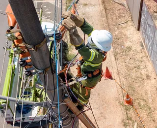 'Gatonet': Cabos irregulares de telefonia e internet serão removidos na Bahia