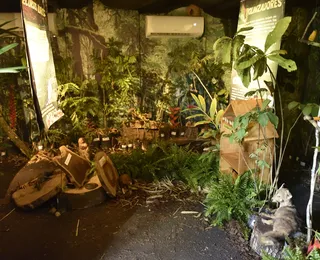 Visitantes entram em “floresta em chamas” e vivem alerta ambiental na Fenagro