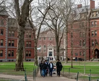 Estudos de Harvard na Bahia