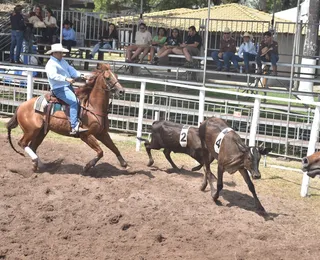 Dupla baiana brilha e leva título na final eletrizante de Ranch Sorting