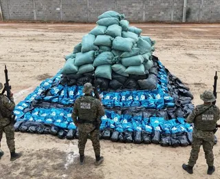 Mais de quatro toneladas de maconha são apreendidas na Bahia