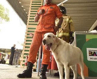 Operação fofura: cadela bombeira vira atração na Fenagro