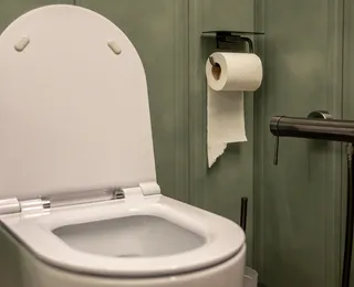 Por que jogar papel higiênico no vaso destrói seu encanamento