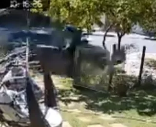Vídeo mostra impacto forte do atropelamento de pintores em Guarajuba