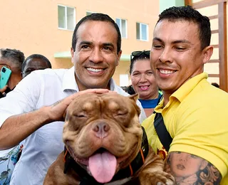 O que muda para clínicas e pet shops com nova lei de Salvador