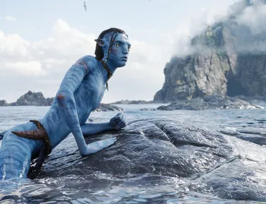 Avatar 3 e mais: veja o que está passando no cinema em Salvador - Imagem