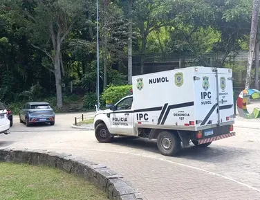 Homem invade jaula de leoa em zoológico e é devorado vivo no Brasil - Imagem