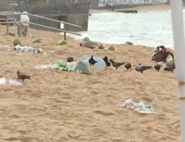 Verão aumenta geração de lixo e impacta turismo na Bahia - Imagem