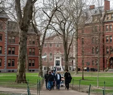 Estudos de Harvard na Bahia - Imagem