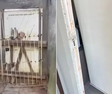 Bandidos invadem casa de condomínio de luxo em Salvador; polícia apura caso - Imagem