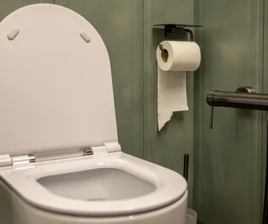 Por que jogar papel higiênico no vaso destrói seu encanamento - Imagem