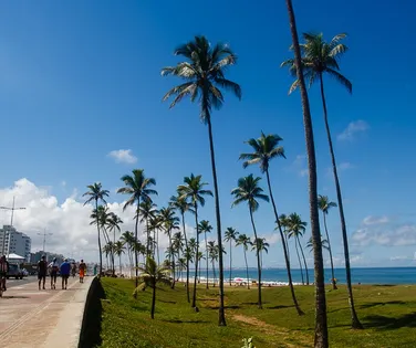 Corredora morre durante treino na orla de Salvador - Imagem