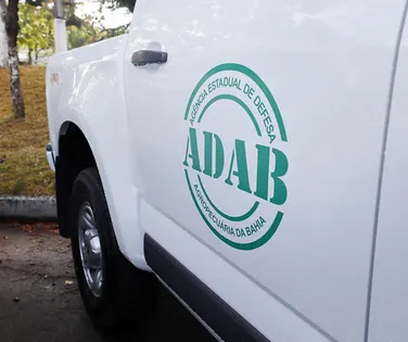 Concurso na Bahia oferece 200 vagas com salários de até R$ 7,4 mil - Imagem