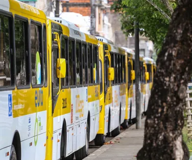 Transporte em Salvador vai mudar para o Ba-Vi e Festival de Verão - Imagem