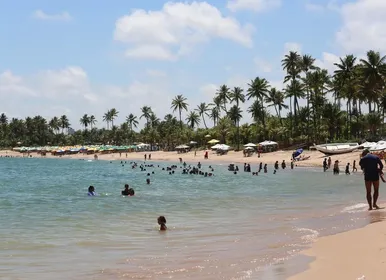 Atenção, banhistas: prática comum nas praias da Bahia agora está proibida - Imagem
