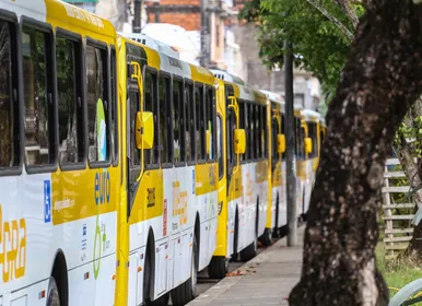 Transporte em Salvador vai mudar para o Ba-Vi e Festival de Verão - Imagem
