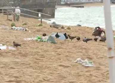 Verão aumenta geração de lixo e impacta turismo na Bahia - Imagem