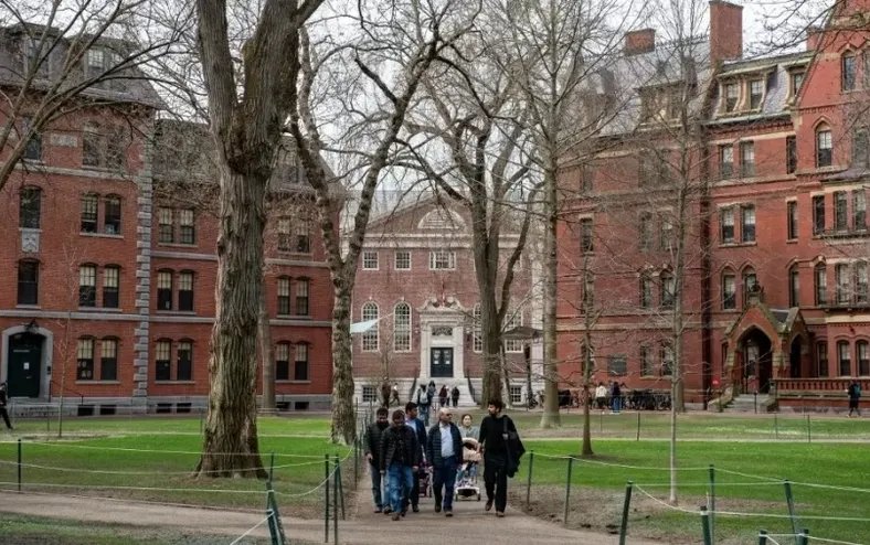 Estudos de Harvard na Bahia - Imagem