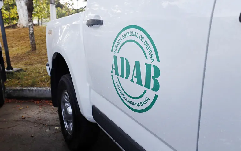 Concurso na Bahia oferece 200 vagas com salários de até R$ 7,4 mil - Imagem