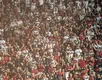 TUI se junta à torcida do Brasil na Copa do Mundo e Bamor fica de fora - Imagem