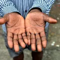 Bahia figura no topo das estatísticas de trabalho análogo à escravidão no Brasil imagem
