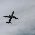 Brasil tem mais de 10 voos cancelados devido à nevasca imagem