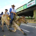 Calendário agro na Bahia terá mais de 40 eventos em 2026; veja lista imagem