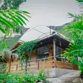 Chapada Diamantina conquista direito ao cultivo de Cannabis medicinal imagem