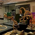Cidade pequena do Brasil guarda dinossauros mais antigos do mundo imagem