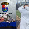 Coelhinho da Páscoa do CV é preso atraindo crianças com doces imagem
