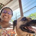 Fuga de pet: plaquinha, microchip ou rastreador é o mais seguro? imagem