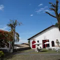 MAM recebe programação especial da Semana de Museus 2026 imagem
