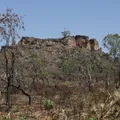 Dilema do Matopiba: fronteira agrícola quer crescer sem destruir o Cerrado imagem