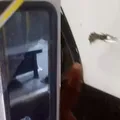 Ônibus param de circular no Vale das Pedrinhas após coletivo ser crivado de balas imagem